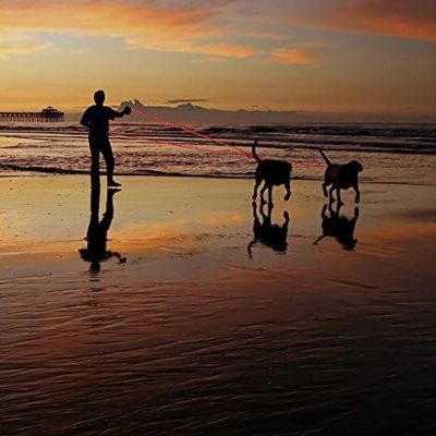 laisse-pour-chien-corde-rouge-plage-nuit