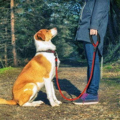 laisse-pour-chien-corde-rouge-solide