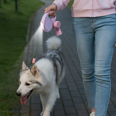 laisse-pour-chien-enrouleur-lampe-led