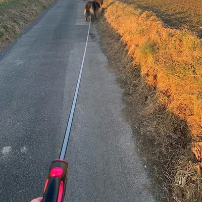laisse-pour-chien-enrouleur-longue