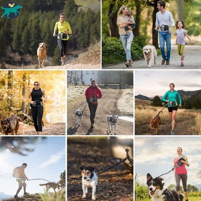 laisse pour chien multi fonctions