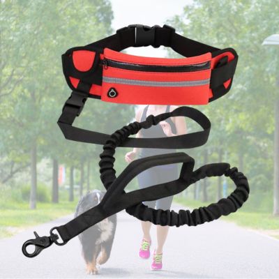 laisse-pour-chien-orange