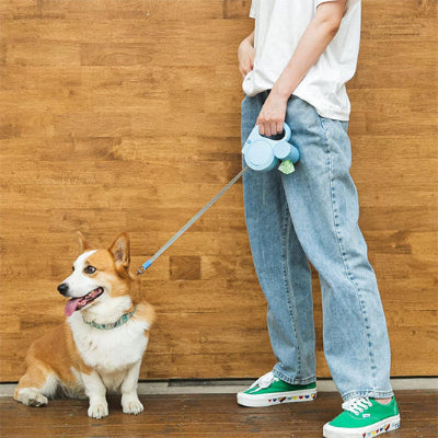 laisse-pour-chien-rétractable-chien-moyen
