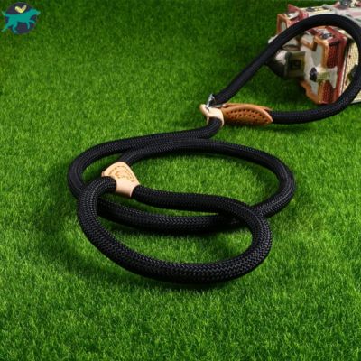 laisse-pour-chien-souple_559b8645-a763-4518-8539-7f7c03855a86