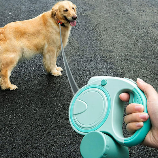 laisse-pour-chien-taille-moyenne