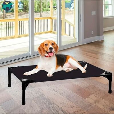 lit-de-camp-pour-chien-maison