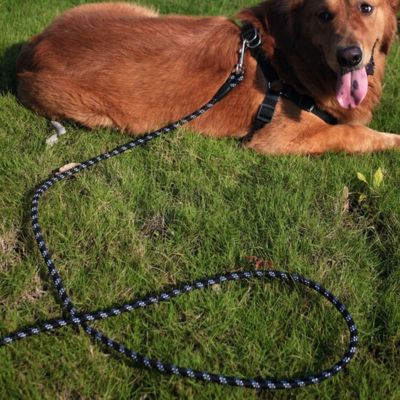 longe-pour-chien-corde-poignee-mousse
