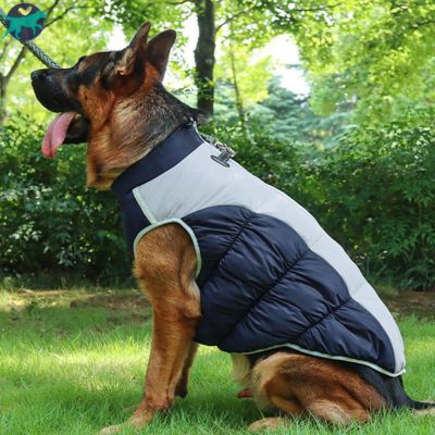 manteau-chien-marine