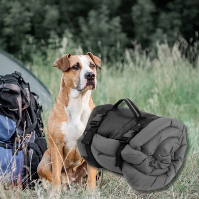 apis-pour-chien-couchage-lit-de-camp-gris