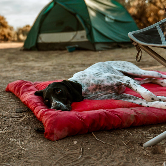 tapis-pour-chien-couchage-lit-de-camp-rouge