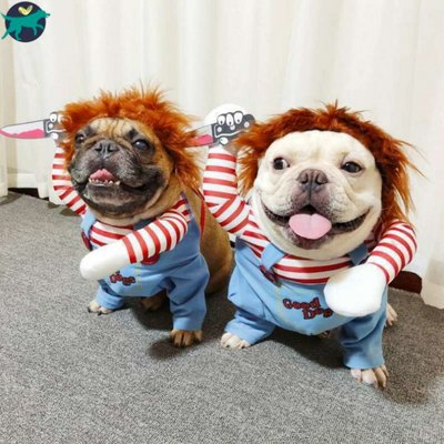 costume-pour-chien-docky-538330