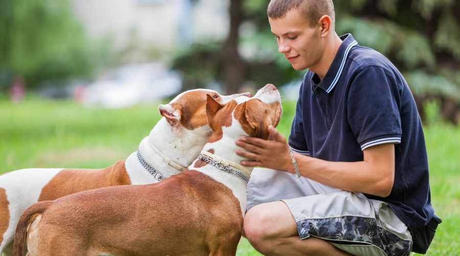 collier-chien-choisir-la-bonne-taille