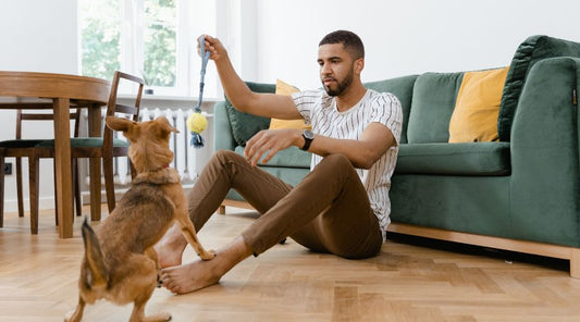 jouet-pour-chien-anti-stress