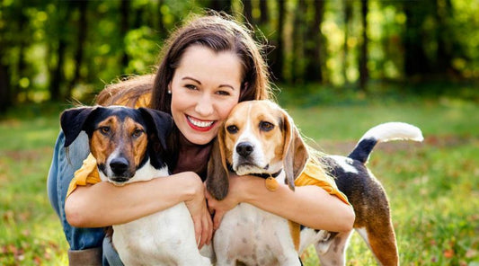 laisse-pour-chien-confort-promenade
