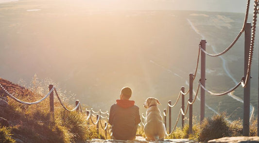laisse-pour-chien-confort-randonner