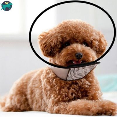 Collerette chien taille moyenne_