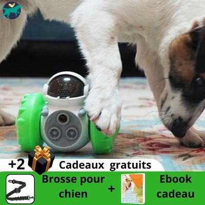 Jouet-pour-chien-vert