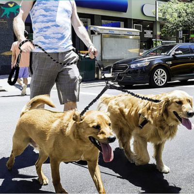 Laisse-double-pour-chien-double