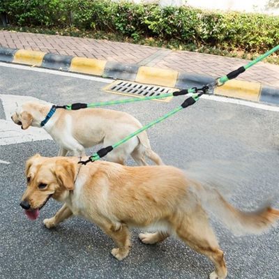 Laisse-double-pour-chien-verte