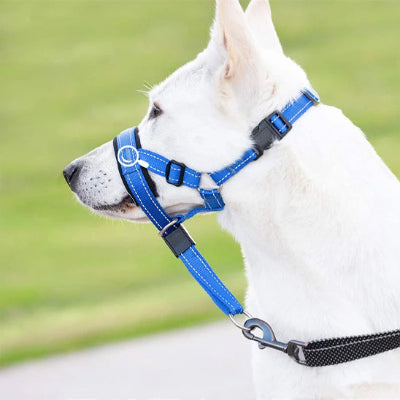 Muselière-chien-anti-traction-corde-chien-taille-moyenne