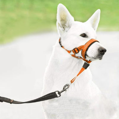 Muselière-chien-anti-traction-corde-réglable