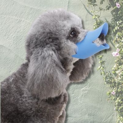 Museliere-chien-bec-canard-bleu