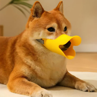 Museliere-chien-bec-canard-jaune