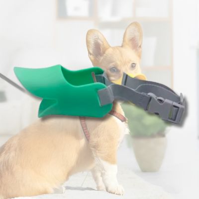 Muselière-chien-bec-canard-verte