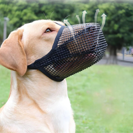 Muselière-chien-filet-noire-respirante