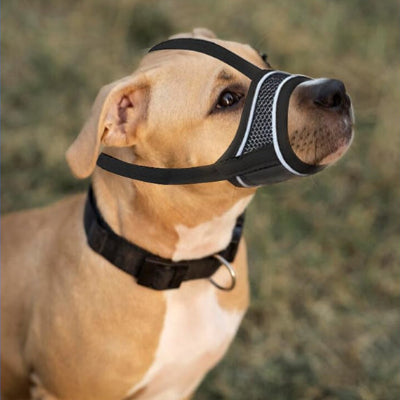 Muselière-chien-filet-ouverte-confortable-grise-noir