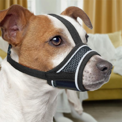 Muselière-chien-filet-ouverte-noir-grise-ouvrte