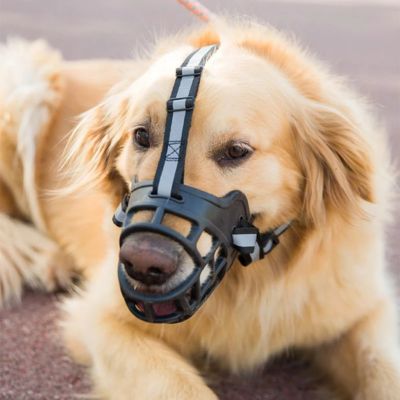 Museliere-chien-ouverte-confortable-grande-taille