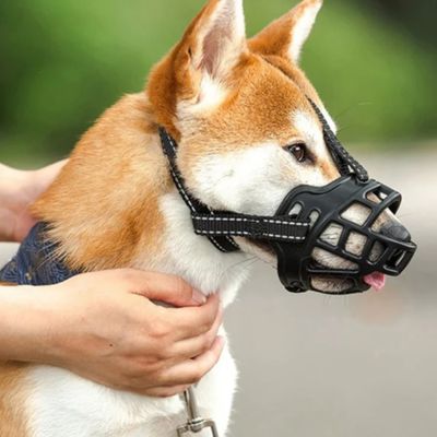 Museliere-chien-ouverte-confortable-protection-simple