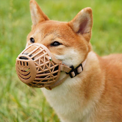 Museliere-pour-chien-beige-plastique-flexible