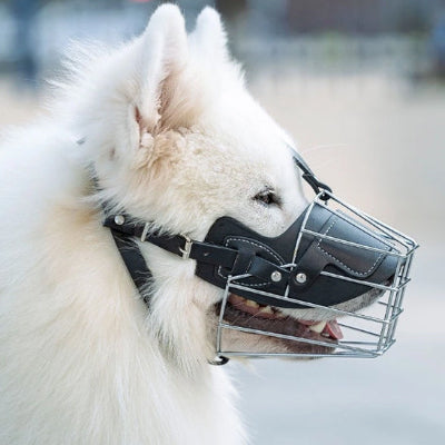 Muselière-pour-chien-cuir-métal-noir