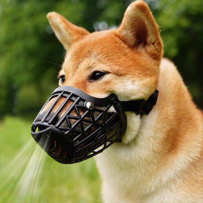 Muselière-pour-chien-noir-panier