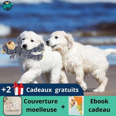 Peluche-pour-chien-mignonne