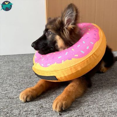Collerette chien | AirShield™