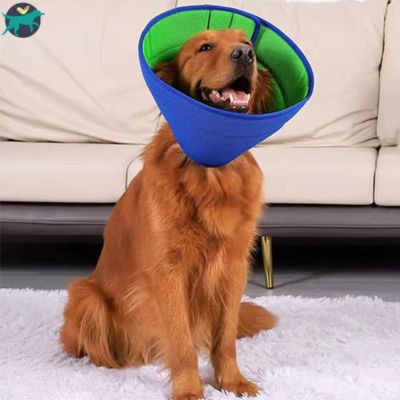 Collerette chien | ComfyCone™
