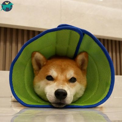 Collerette chien | ComfyCone™