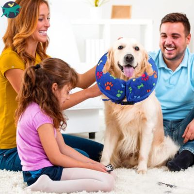 Collerette chien | AirShield™