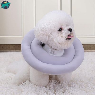 collerette chien douce