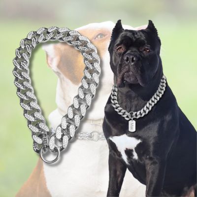 collier-chien-acier-_argent