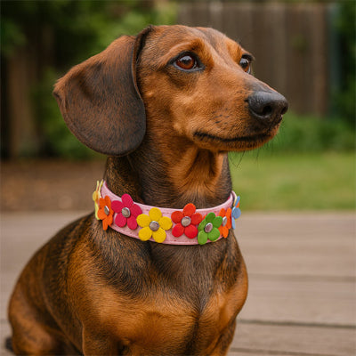 collier-chien-cuir-pu-jaune_482c2097-d968-4cca-b273-133561157c58