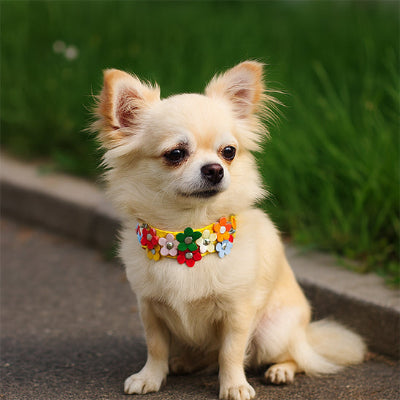 collier-chien-cuir-pu-petit-chien_7e335975-3ebc-46fd-b368-afb379d25660