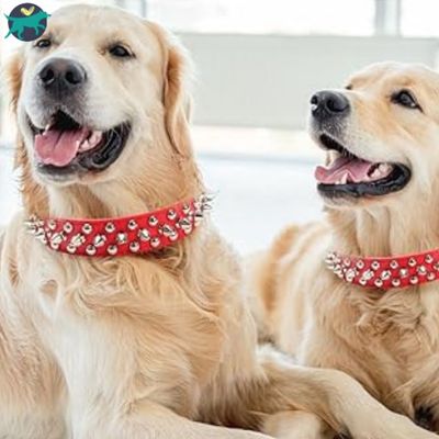 collier-chien-rouge_a6185953-e59d-413f-b12c-c748570ac986