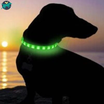 collier-lumineux-chien-vert_be992d55-1e6e-45db-89c1-5689ee7ac268