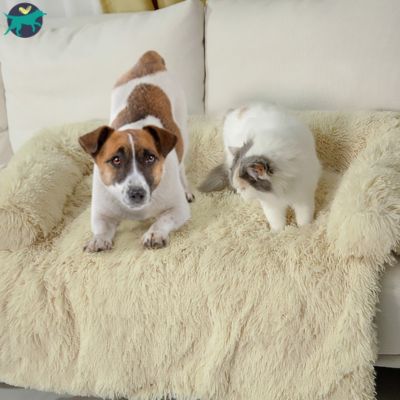 coussin-pour-chien-beige