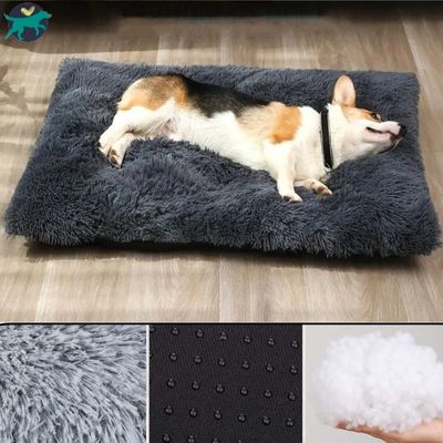 coussin-pour-chien-confortable