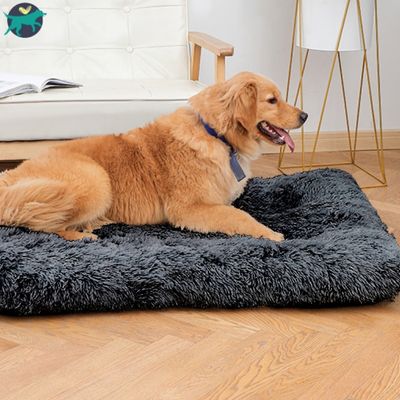 coussin-pour-chien-noir